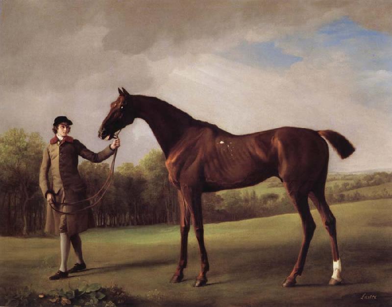 George Stubbs Lustre hero by a Groom oil painting picture